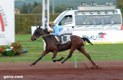 16/10/2024 - Saint-Galmier - Prix de la Ville de Saint-Galmier : Arrivée