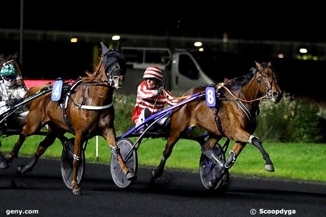 04/11/2024 - Vincennes - Prix Gyptis : Arrivée