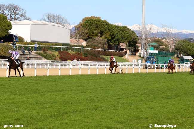 03/02/2025 - Cagnes-sur-Mer - Prix de Grasse : Arrivée