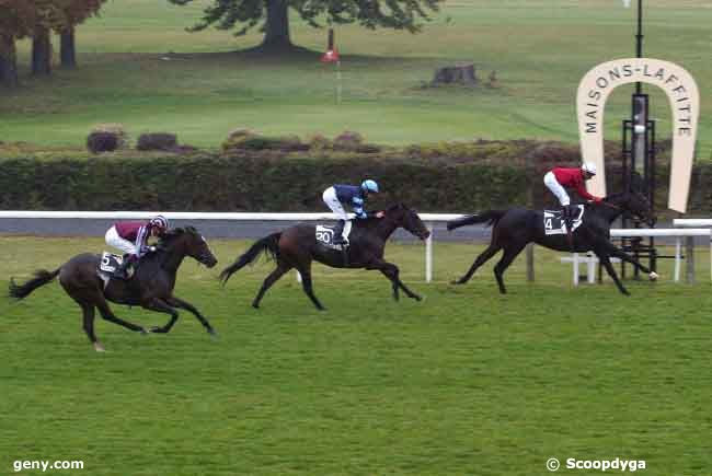 15/10/2008 - Maisons-Laffitte - Prix de Marly la Ville : Ankunft