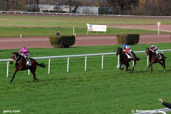 18/11/2008 - Angers - Prix David d'Angers : Arrivée