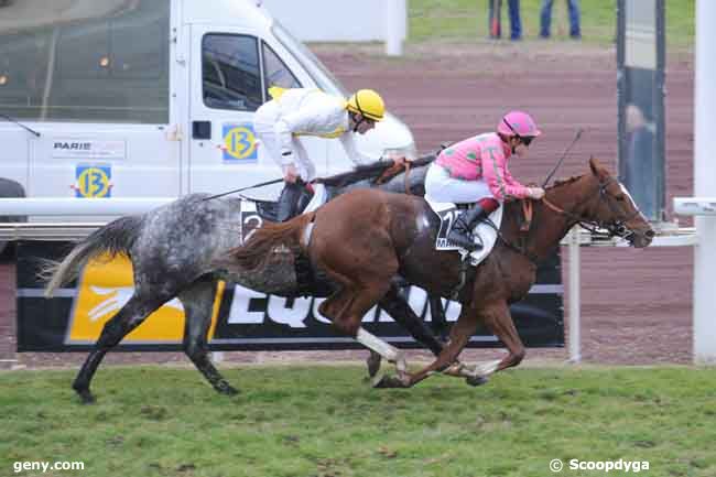 03/12/2008 - Marseille-Borély - Prix du Comité Régional du Sud-Est : Arrivée