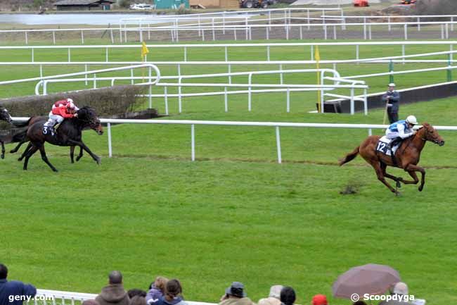 16/11/2009 - Fontainebleau - Prix du Bois Notre Dame (Gr B) : Ankunft