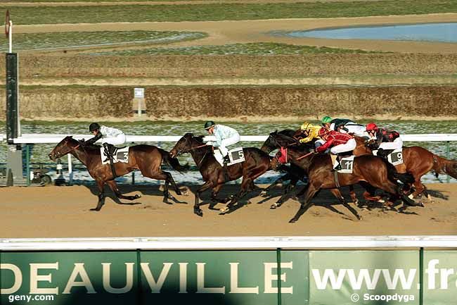 04/01/2010 - Deauville - Prix des Commeaux : Arrivée