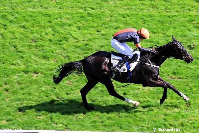 06/04/2011 - Auteuil - Prix Aubépine : Ankunft