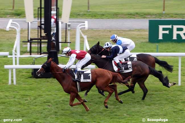 27/10/2011 - Maisons-Laffitte - Prix d'Hardricourt : Arrivée