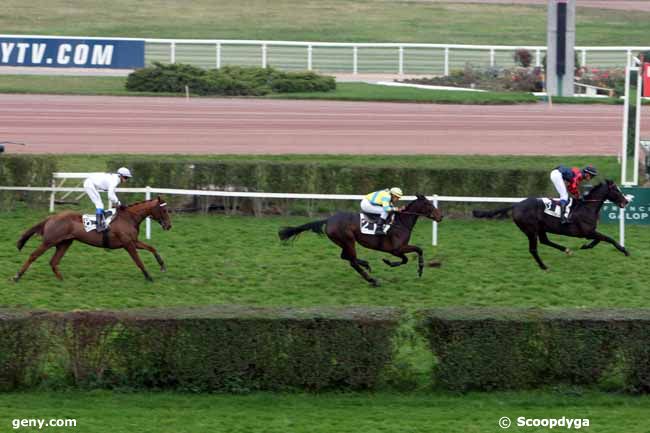 16/11/2011 - Enghien - Prix des Coudraies : Arrivée