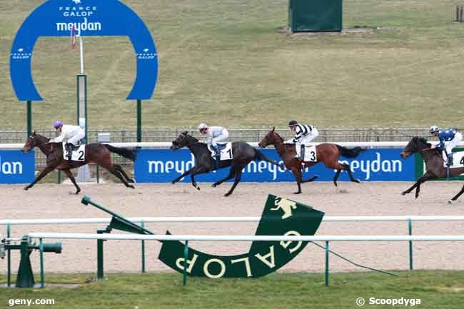 02/03/2013 - Chantilly - Prix de la Pistole : Arrivée