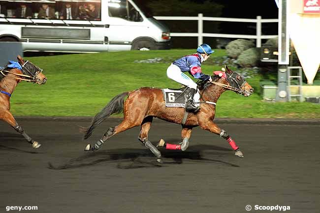 19/11/2013 - Vincennes - Prix Electra : Arrivée