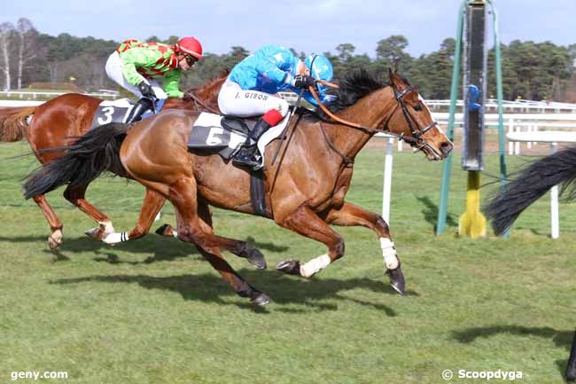 02/03/2016 - Fontainebleau - Prix Capitaine Labonde : Result