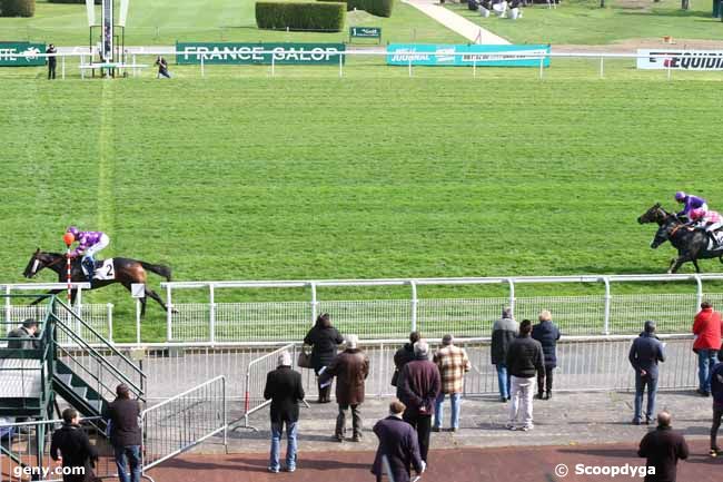 01/04/2016 - Maisons-Laffitte - Prix de Tarbes : Ankunft