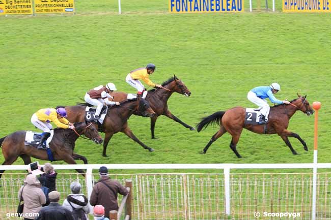 19/05/2016 - Fontainebleau - Prix du Belvedère des Druides : Result