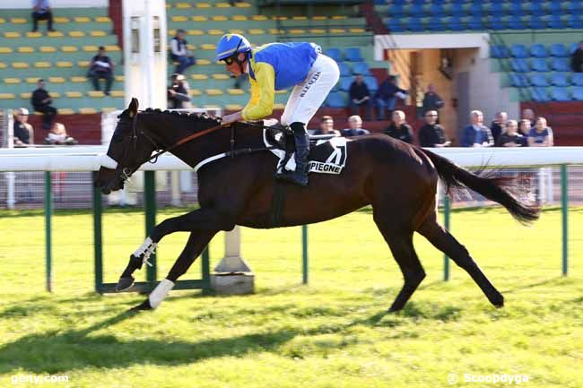 14/05/2019 - Compiègne - Prix Pansa : Ankunft