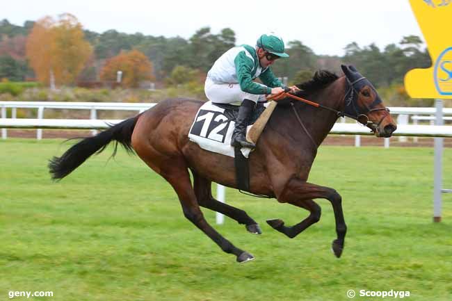 16/11/2021 - Fontainebleau - Prix Paiuté : Arrivée