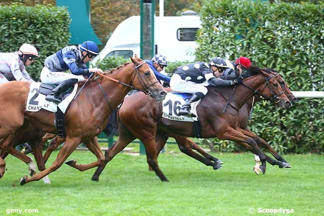 12/10/2023 - Chantilly - Prix de la Vierge de Lorette : Arrivée