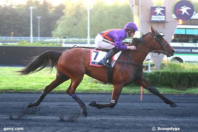 10/05/2024 - Vincennes - Prix Jean Gauvreau - Etrier 5 ans Q2 : Arrivée