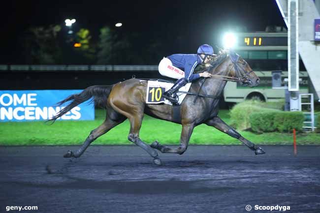 18/10/2024 - Vincennes - Prix Cyane : Arrivée