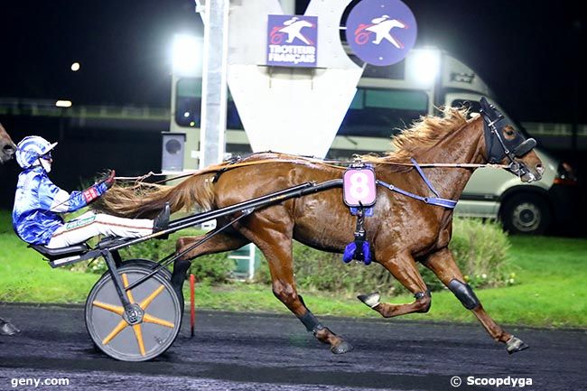 04/11/2024 - Vincennes - Prix Geminus : Arrivée