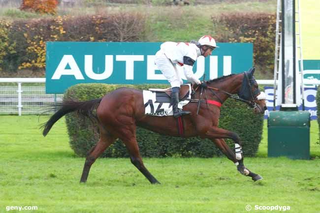 30/11/2024 - Auteuil - Prix Sytaj : Ankunft