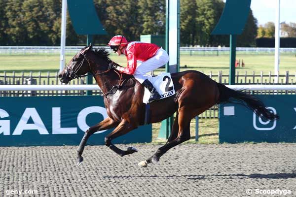 05/09/2025 - Chantilly - Prix de la Croix de l'Oignon : Arrivée