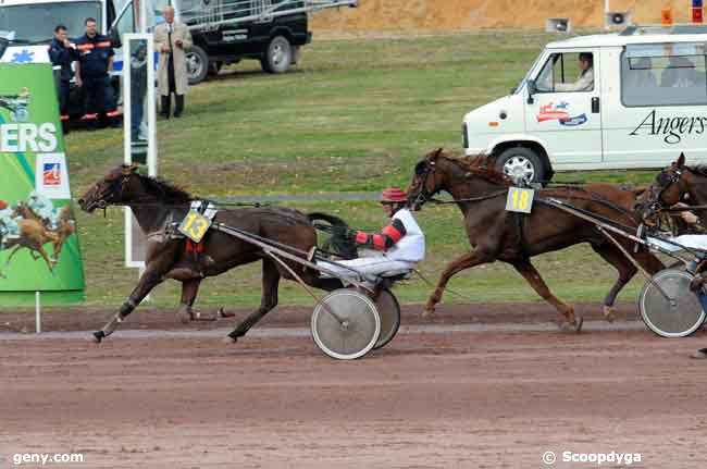 01/10/2008 - Angers - Prix Haras du Domaine : Result