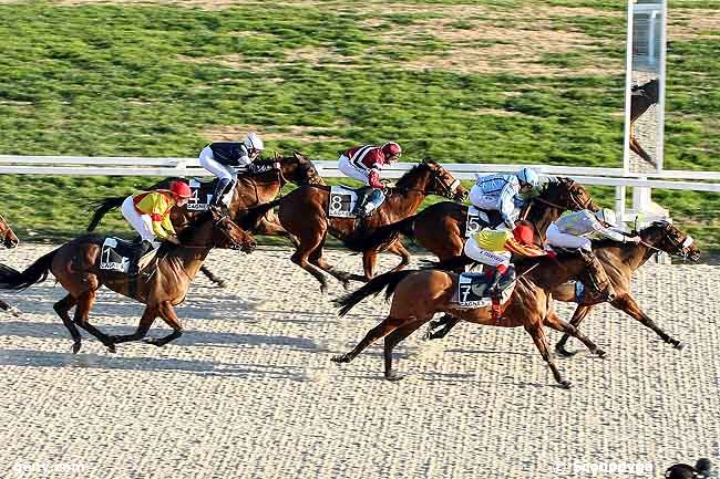 14/01/2009 - Cagnes-sur-Mer - Prix de Gand : Arrivée