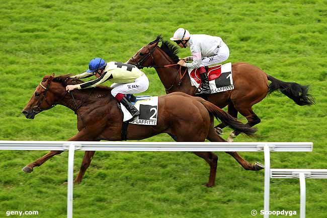 21/06/2013 - Maisons-Laffitte - Prix Saint-Crespin : Ankunft