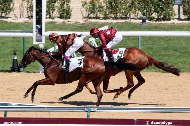 10/08/2013 - Deauville - Prix de la Pégaserie Equidia Radio : Ankunft