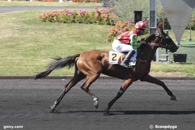 21/08/2013 - Vincennes - Prix de Bazet : Ankunft