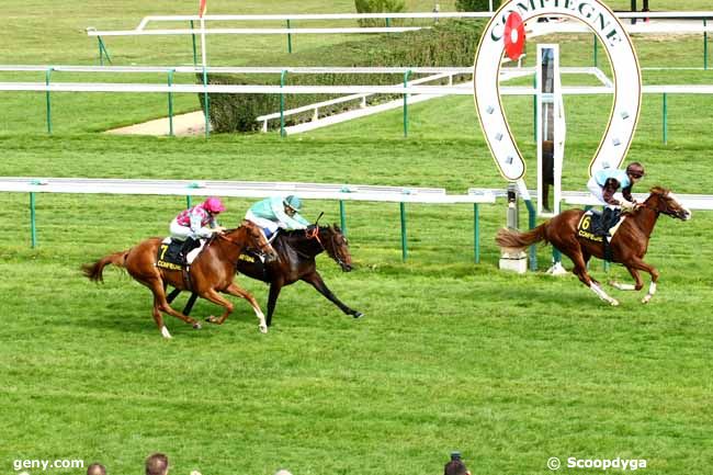 02/10/2014 - Compiègne - Prix des Juniors : Ankunft