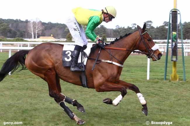 02/03/2016 - Fontainebleau - Prix des Daguets : Arrivée