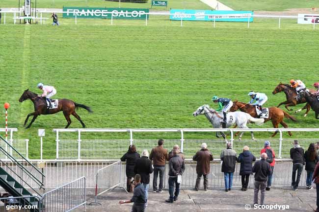 01/04/2016 - Maisons-Laffitte - Prix Carvin : Ankunft