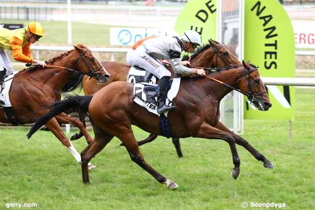 13/06/2017 - Nantes - Prix des Espaces Verts : Arrivée