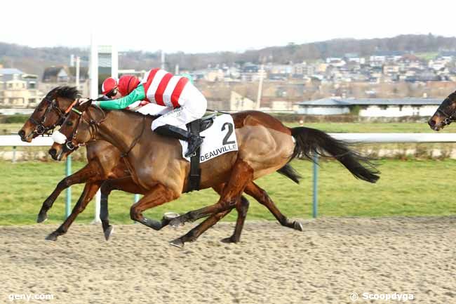 11/01/2020 - Deauville - Prix Swain : Arrivée