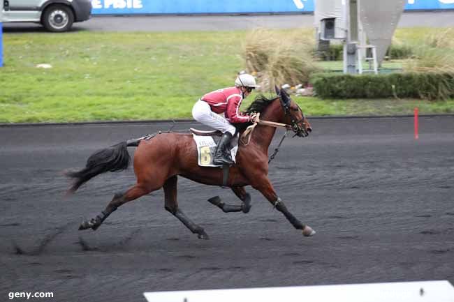 02/02/2023 - Vincennes - Prix de Cholet : Arrivée