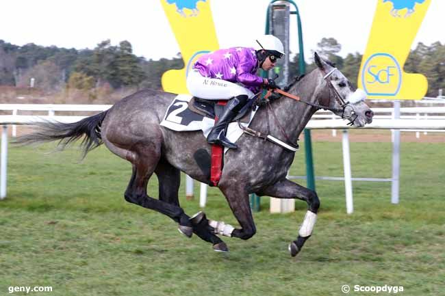 28/02/2023 - Fontainebleau - Prix de Bouligny : Arrivée