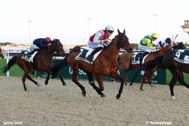 29/01/2024 - Cagnes-sur-Mer - Prix Paul-Antoine Pulvenis de Séligny : Arrivée