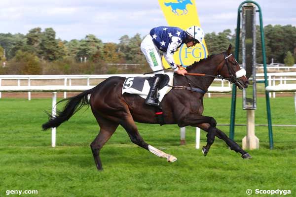 14/10/2024 - Fontainebleau - Prix Baron Geoffroy de Waldner : Arrivée