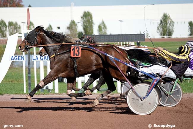 23/10/2024 - Agen-Le Passage - Prix d'Agen : Arrivée