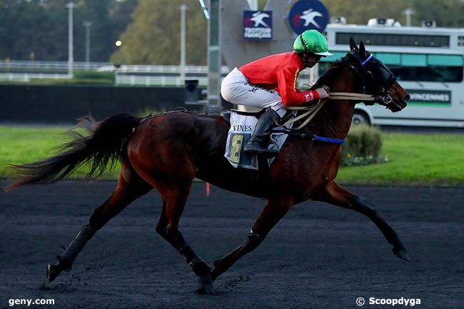 04/11/2024 - Vincennes - Prix de Barenton : Arrivée