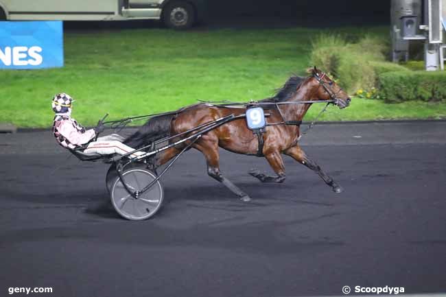 11/01/2025 - Vincennes - Prix Bellino II : Arrivée