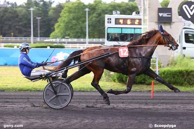 06/06/2025 - Vincennes - Prix Trace Tv (Prix de Gien) : Arriv&eacute;e