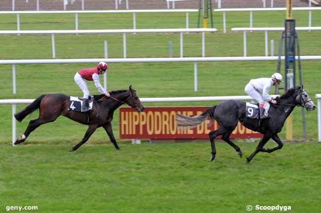 16/11/2009 - Fontainebleau - Prix du Pavé du Roy : Ankunft