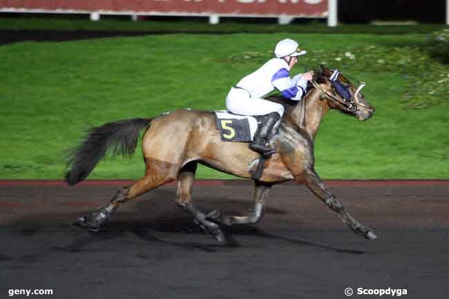 30/12/2009 - Vincennes - Prix de Salers : Arrivée