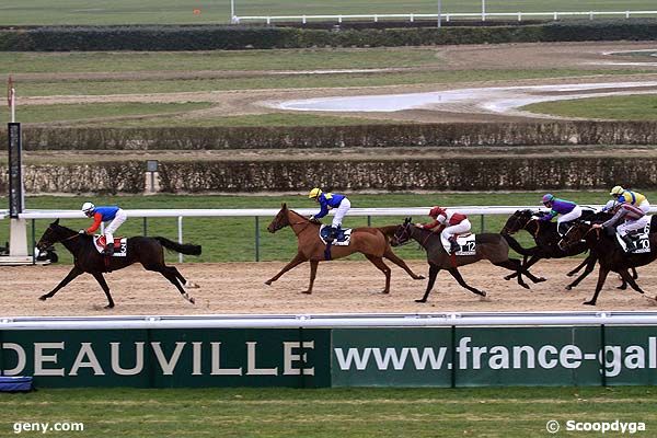 31/12/2010 - Deauville - Prix du Haras de Saint-Lo : Result