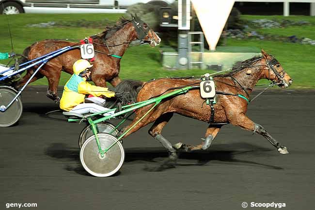 19/11/2013 - Vincennes - Prix Dynamène : Arrivée