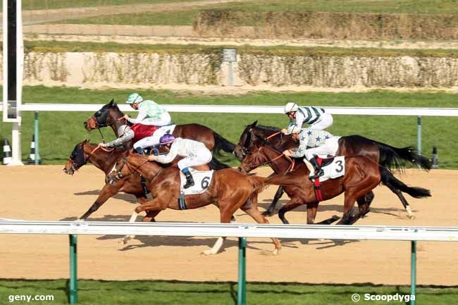 01/03/2014 - Deauville - Prix de Lessard-le-Chêne : Result