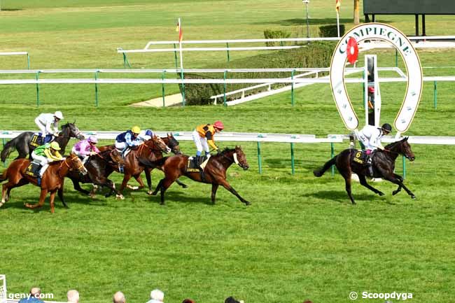 02/10/2014 - Compiègne - Prix de Saint-Crépin : Arrivée