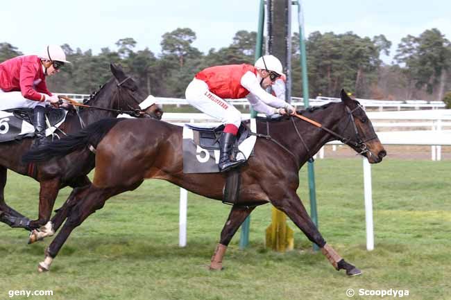 02/03/2016 - Fontainebleau - Prix de Bouligny : Result