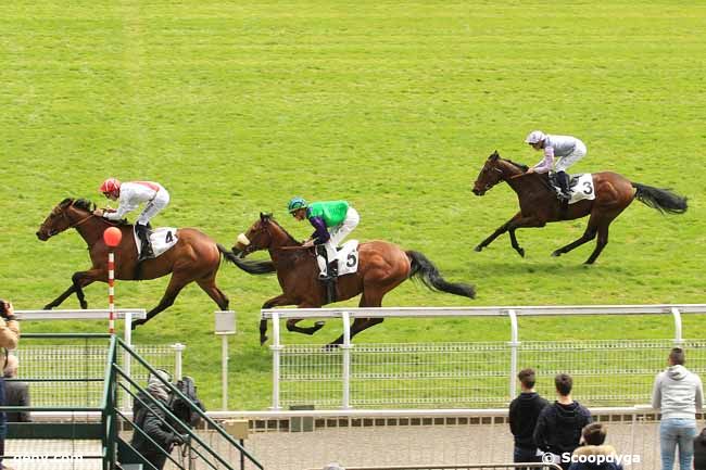 26/04/2016 - Maisons-Laffitte - Prix Servanne : Ankunft